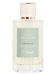 Santalum Chloé (Atelier des Fleurs)